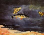 温斯洛 荷默 : Fish and Butterflies